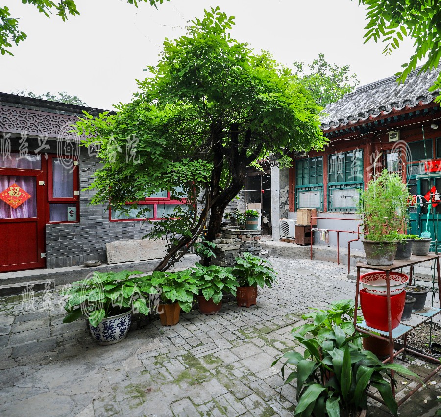 庭院