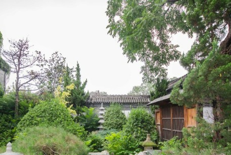 近200平方米老舊車棚拆除 姚家井小區(qū)開啟安全升級新篇章